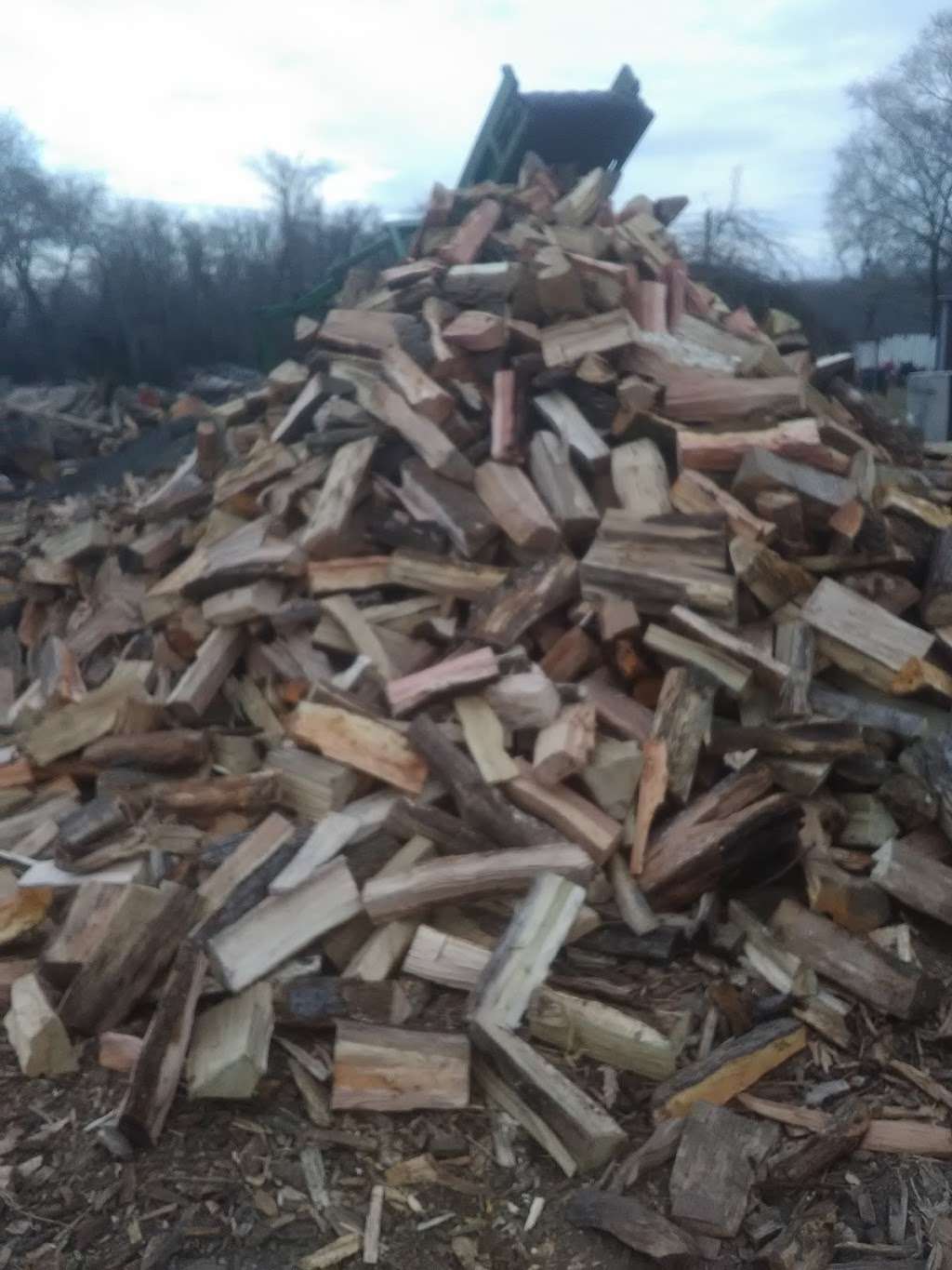 Firewood Unlimited Tree Service, Landscaping, Yard Cleaning | 10950 Piscataway Rd, Clinton, MD 20735, USA | Phone: (301) 297-4658
