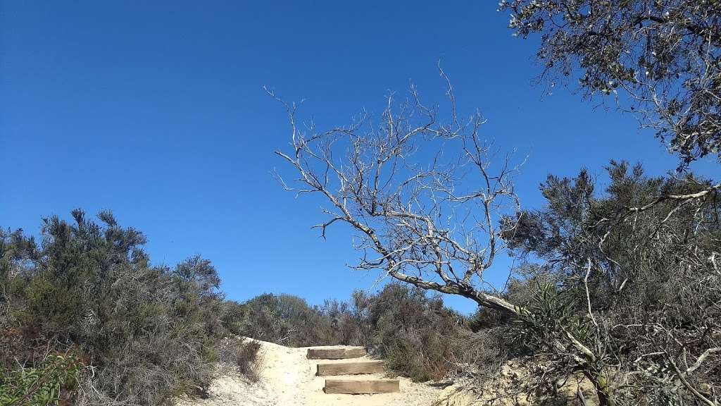 Manchester Preserve Hiking Trails | Encinitas, CA 92024