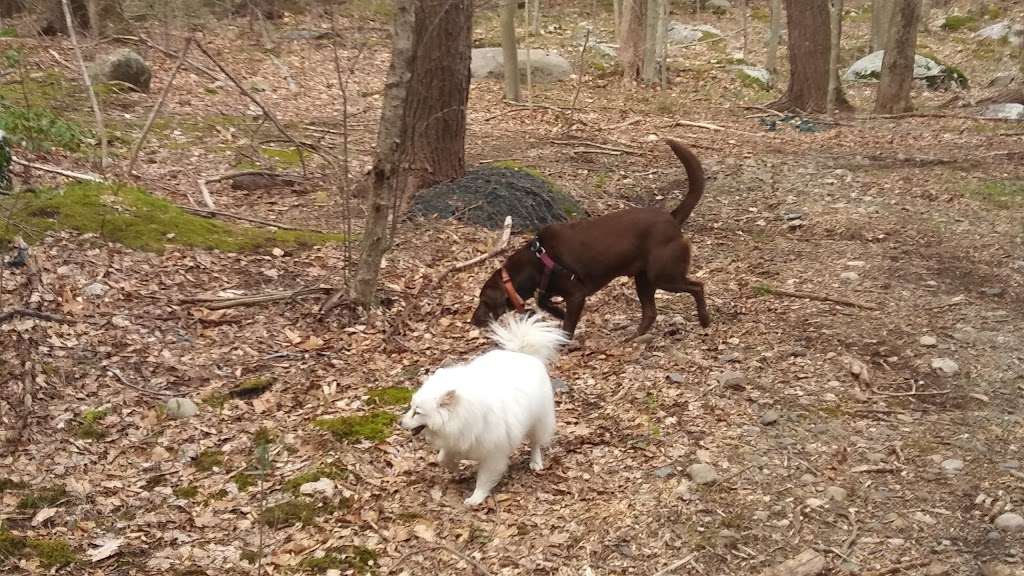 San Cap Recreation Area | 22 Warwick Turnpike, Hewitt, NJ 07421, USA | Phone: (973) 881-4833