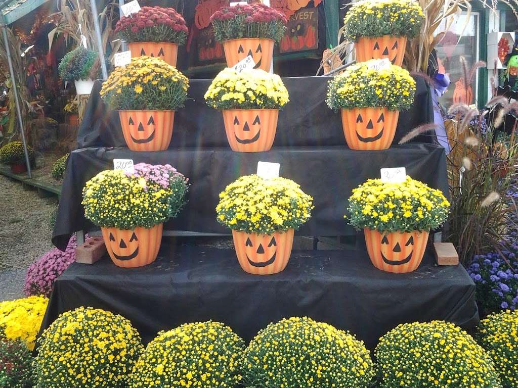 Hilltop Garden Center | 1339 N Black Horse Pike, Blackwood, NJ 08012, USA | Phone: (856) 232-8844