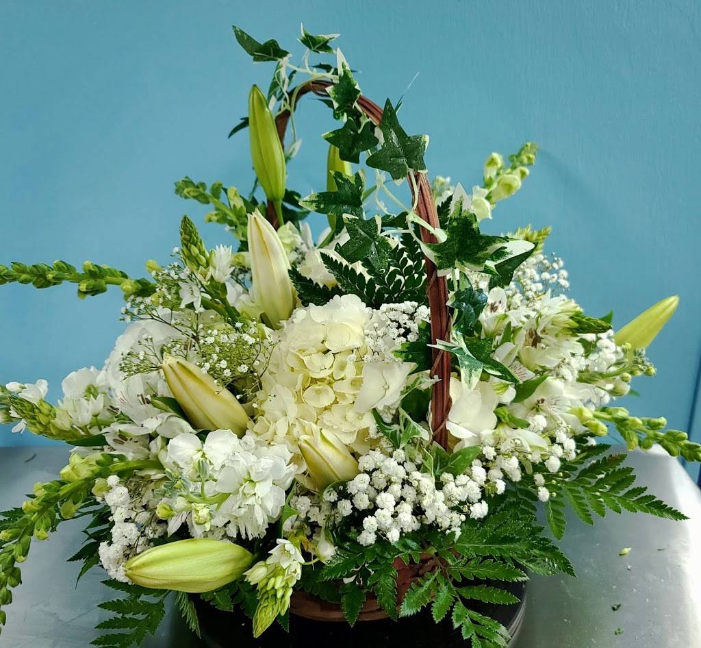 Ion Florist and Gifts | 3199 Bainbridge Blvd, Chesapeake, VA 23324, USA | Phone: (757) 434-0790