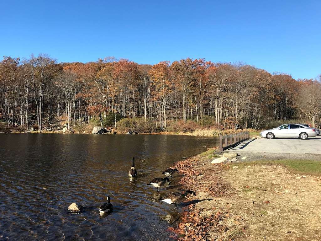 Lake Skannatati Parking | Skanatati, Southfields, NY 10975, USA