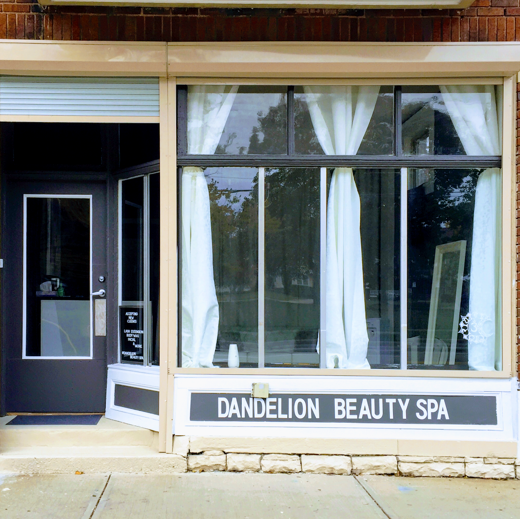 Dandelion Beauty Spa | 3450 W 105th St, Cleveland, OH 44111, USA | Phone: (216) 262-3427