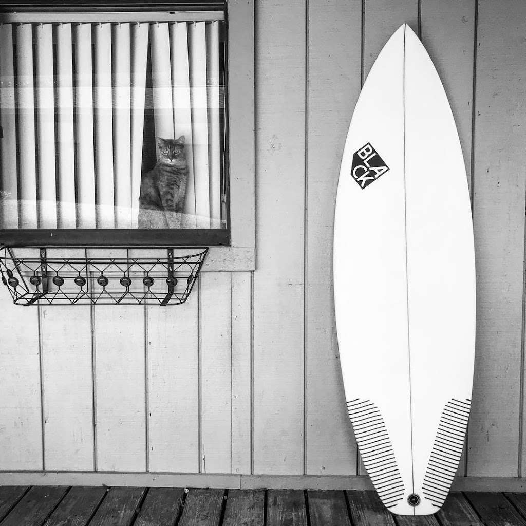 Black Atlantic Surfboards | 424 W Park Ave, Edgewater, FL 32132, USA | Phone: (863) 430-4276