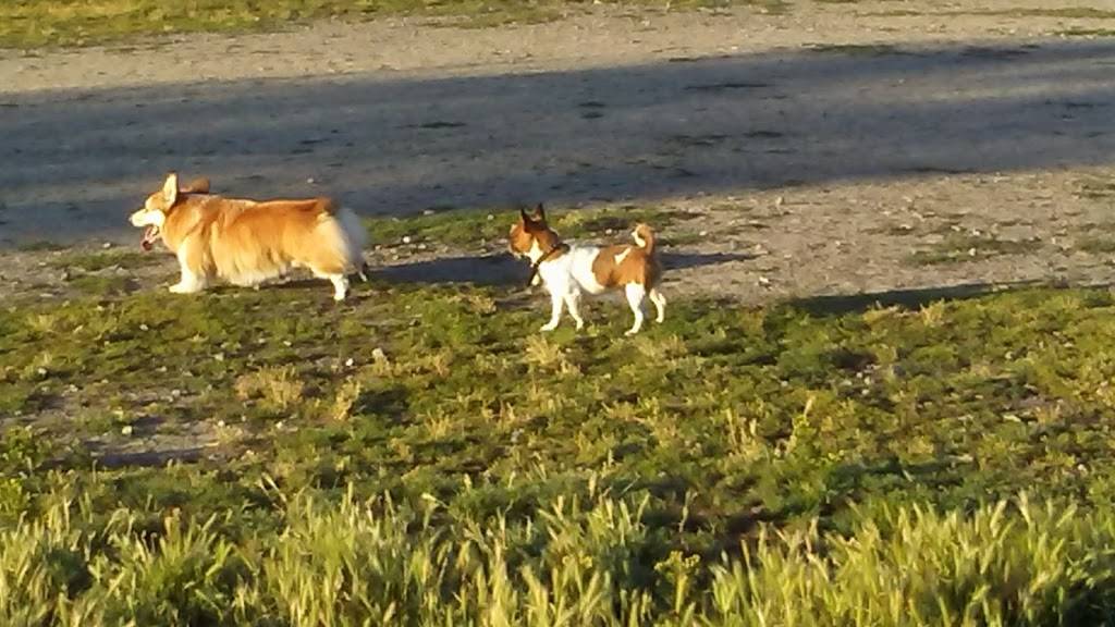 Warren G. Magnuson Park Off Leash Area | 7400 Sand Point Way NE, Seattle, WA 98115, USA | Phone: (206) 684-4075