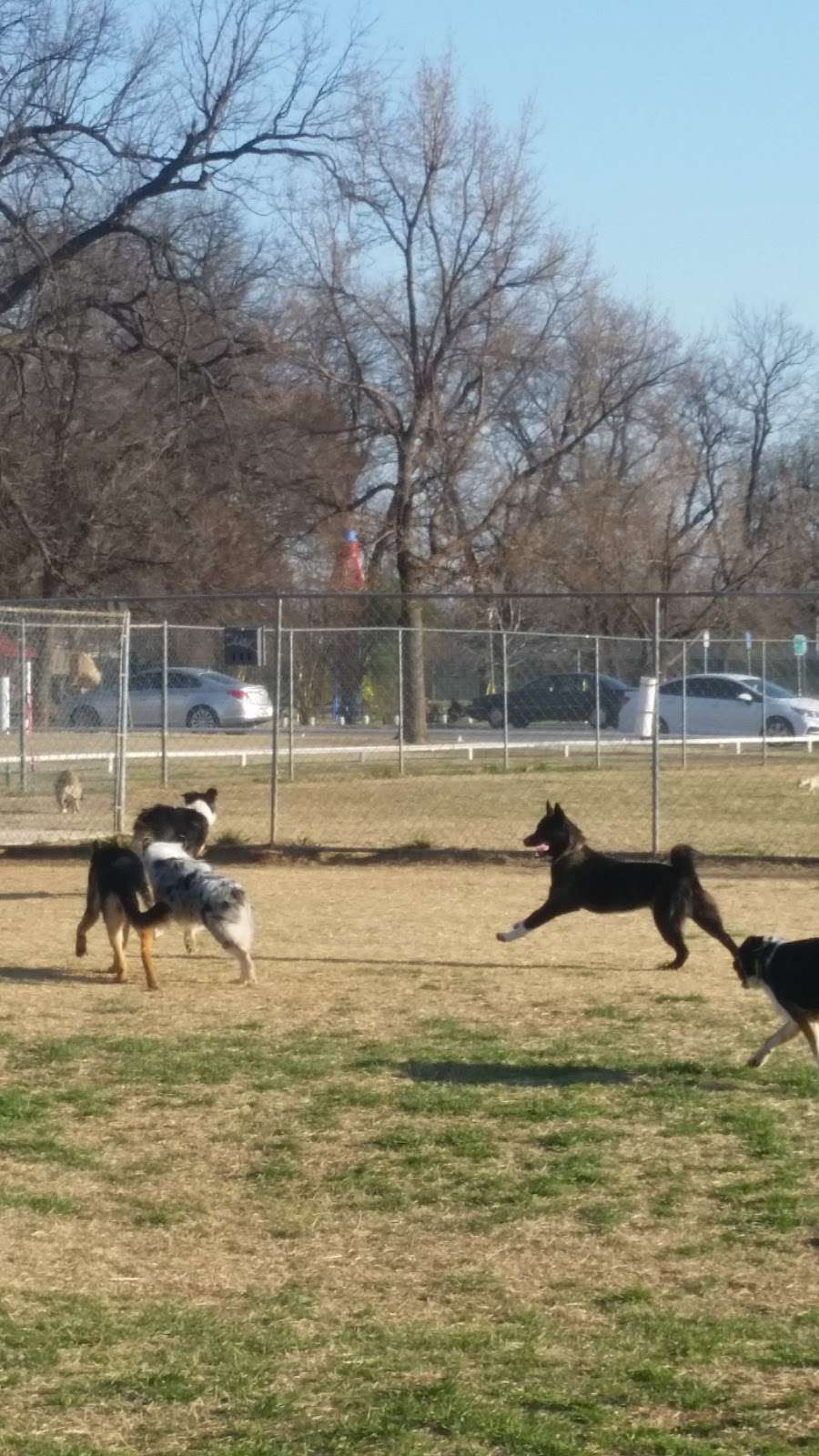 Wiggly Field Dog Park | Richmond, MO 64085, USA