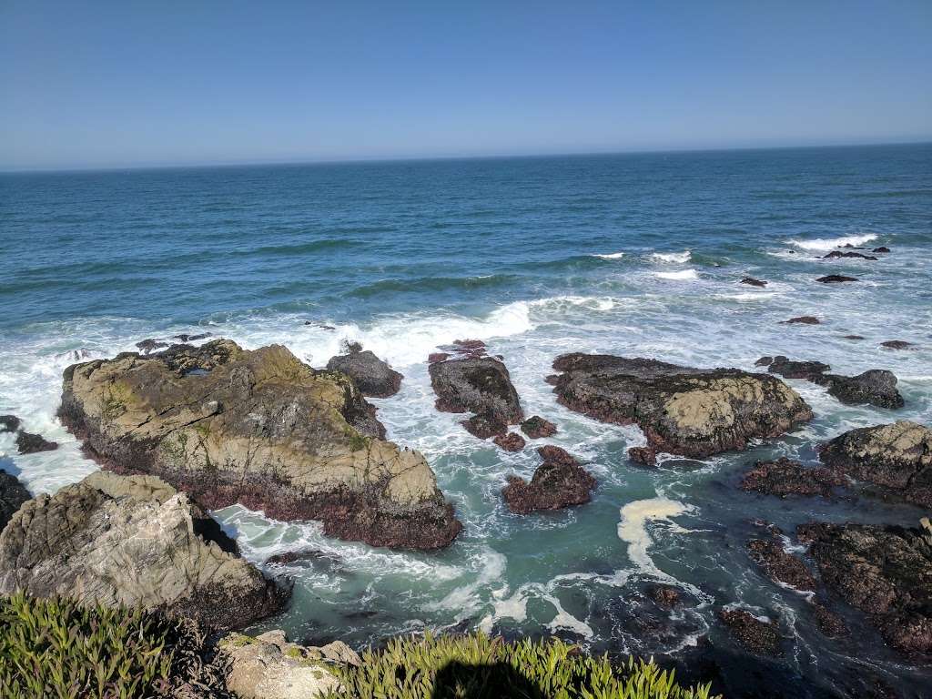 Bodega Head Trail | 3799 Westshore Rd, Bodega Bay, CA 94923, USA | Phone: (707) 875-3483