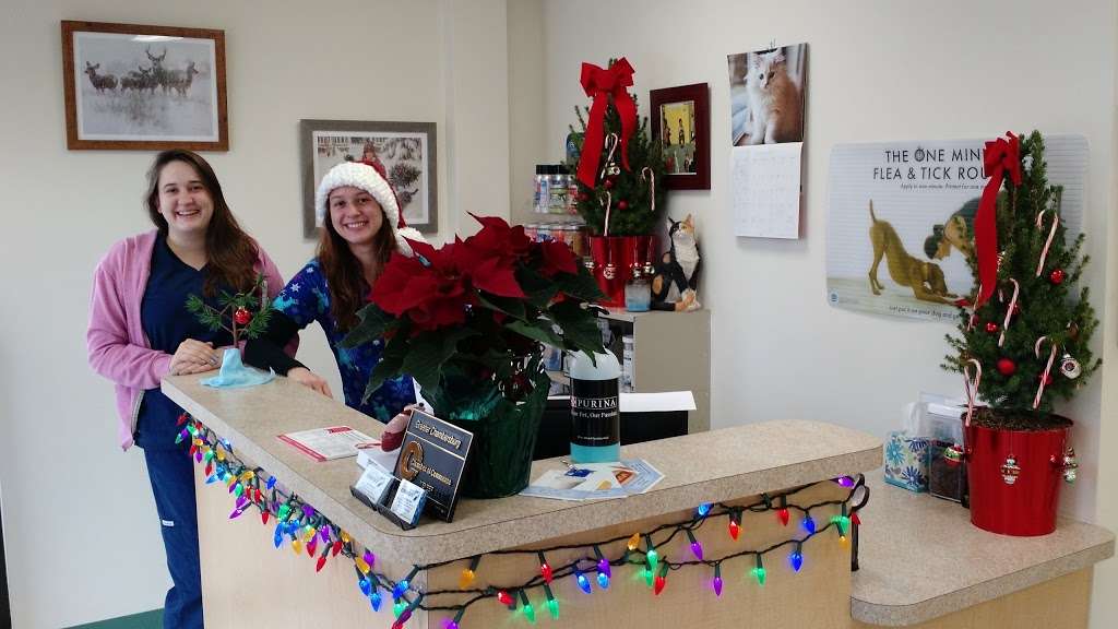 Saint Thomas Veterinary Center | 6442 Lincoln Way W, St Thomas, PA 17252, USA | Phone: (717) 595-0337