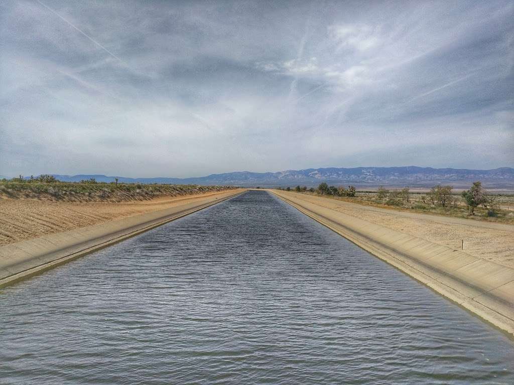 Arthur B. Ripley Desert Woodland State Park | Lancaster Road at, 205th St W, Lancaster, CA 93536, USA | Phone: (661) 946-6092