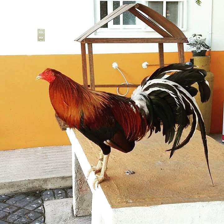 AutoZone Auto Parts 286 S Broadway, Yonkers, NY 10705, USA BusinessYab