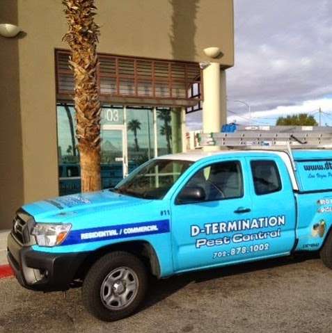 D-Termination Pest Control | 3003 Rigel Ave, Las Vegas, NV 89102 | Phone: (702) 342-8442