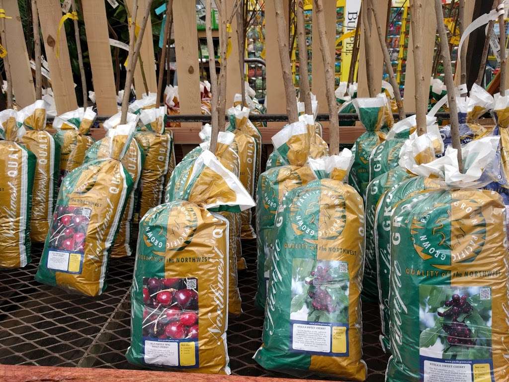 Lowes Garden Center | 155 Old Grove Rd, Oceanside, CA 92057, USA | Phone: (760) 966-7140