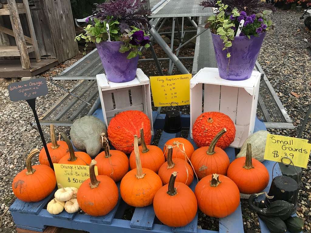 Kingsdene Nurseries | 16435 York Rd, Monkton, MD 21111 | Phone: (410) 343-1150