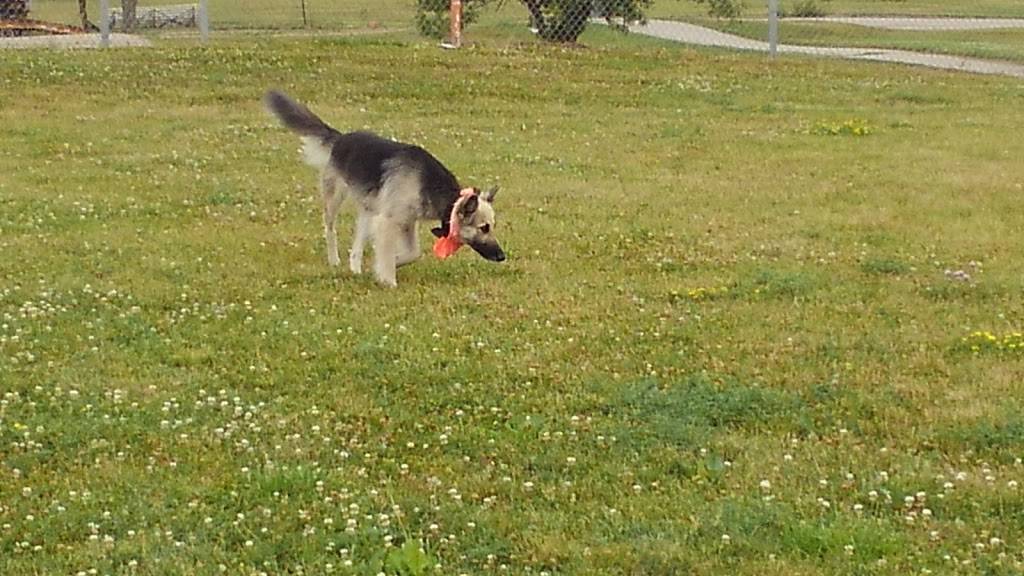 Hefflinger Dog Park / Omaha Dog Park Leash free fun for dogs/ pu | Old Maple Rd & N 112th Ave, Omaha, NE 68164, USA | Phone: (402) 444-5900