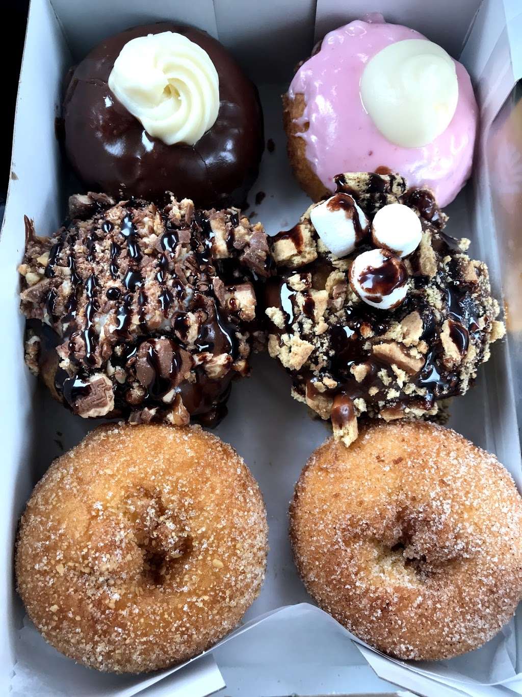 Peace, Love and Little Donuts of Loveland | 3525 Mountain Lion Dr, Loveland, CO 80537, USA | Phone: (970) 292-8800