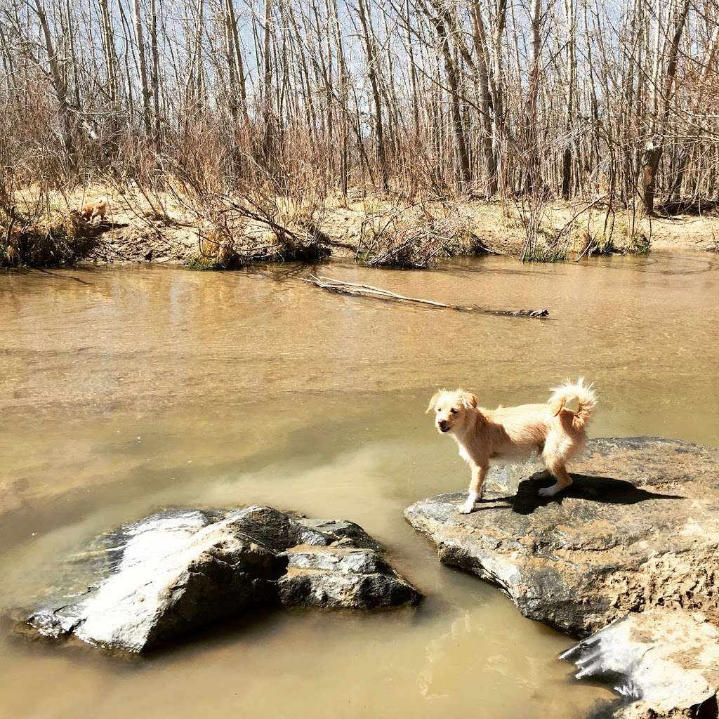 Cherry Creek ​Dog Of​f Leash Area (DOLA) | S Entrance Rd, Aurora, CO 80015, USA | Phone: (303) 690-1166
