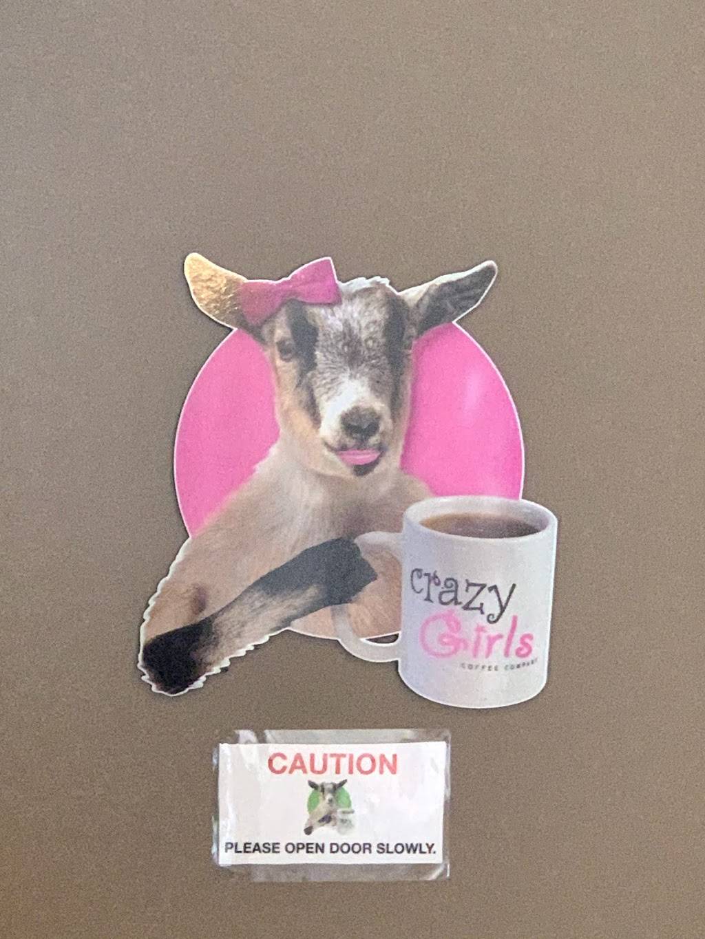 Crazy Mocha | 5607 Baum Blvd, Pittsburgh, PA 15206, USA | Phone: (412) 404-2318