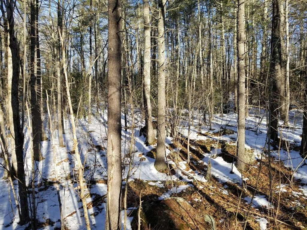 Cider Mill Pond Trailhead | 03033, Brookline, NH 03033, USA