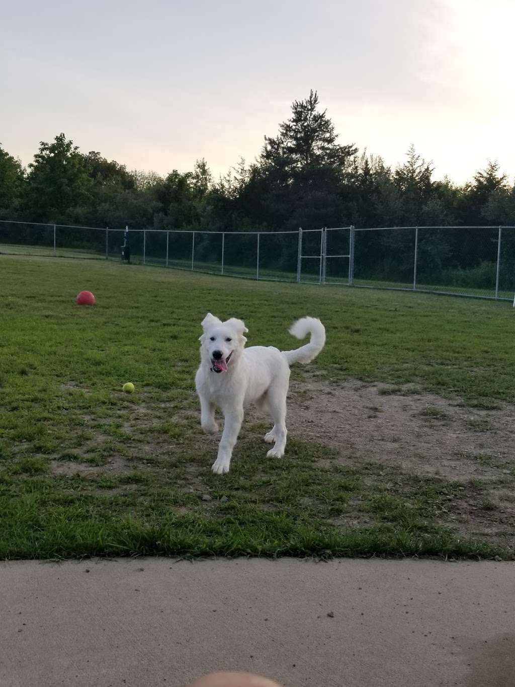 Cuddy Dog Park | Colonial Dr, Perkiomenville, PA 18074, USA