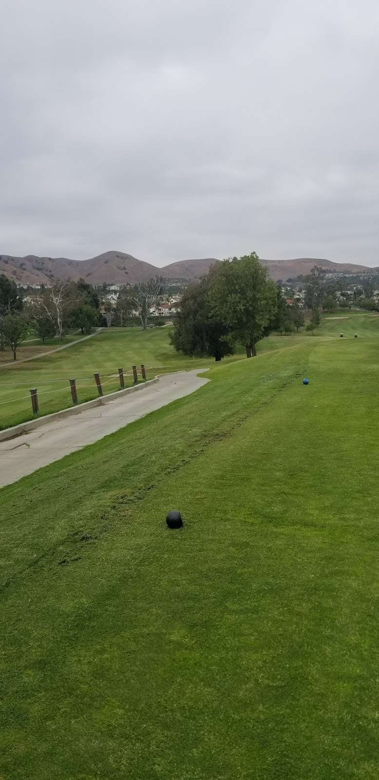 Torrey Pines Park | 5011 Torrey Pines Dr, Chino Hills, CA 91709, USA | Phone: (909) 364-2700