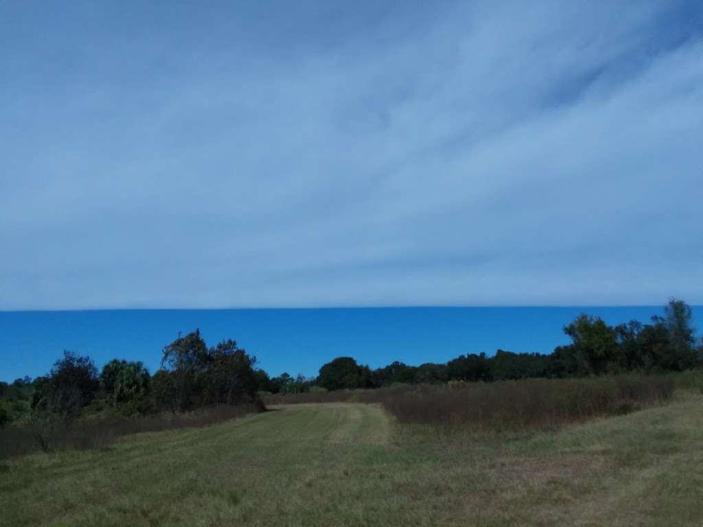 Ocklawaha Prairie Restoration Area Trail Head | SE 137th Avenue Rd, Ocklawaha, FL 32179, USA | Phone: (386) 329-4404