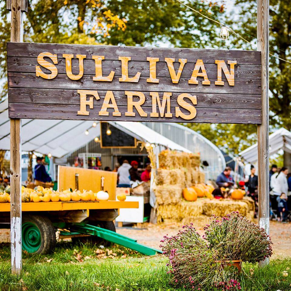 SULLIVAN FARMS CHRISTMAS TREES | 16704 New Halls Ferry Road, Florissant, MO 63034, USA | Phone: (314) 570-6662