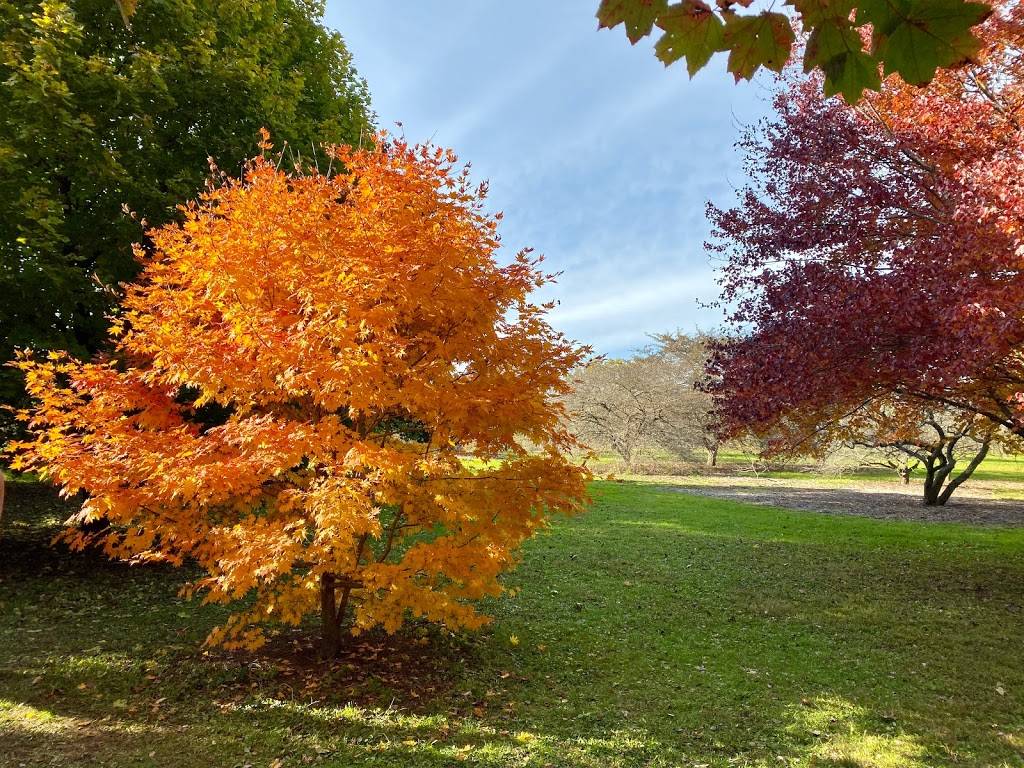 University of Wisconsin-Madison Arboretum | 1207 Seminole Hwy, Madison, WI 53711, USA | Phone: (608) 263-7888