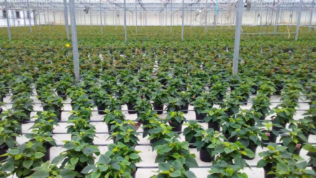 Barry Douglas A Atto | 14480 Mill Creek Dr, Montpelier, VA 23192, USA | Phone: (804) 883-5086