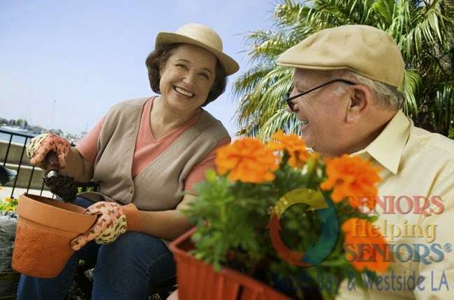 Seniors Helping Seniors | 528 Palisades Dr #217, Pacific Palisades, CA 90272, USA | Phone: (310) 878-2045