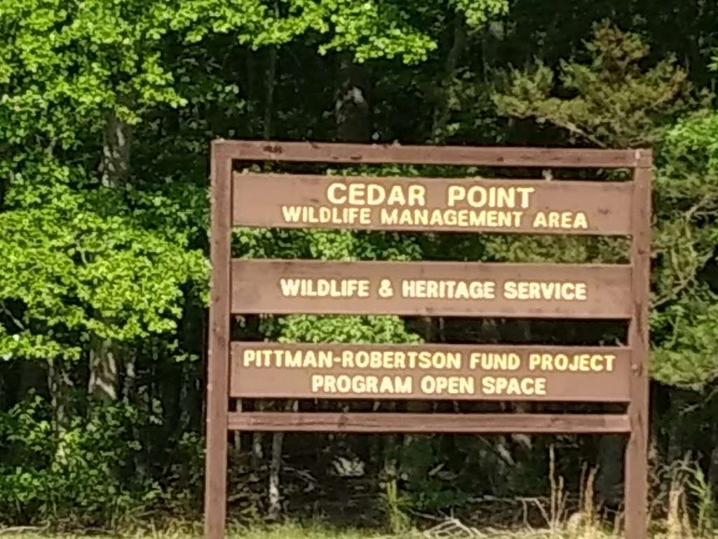 Cedar Point WMA | 9761 Blossom Point Rd, Welcome, MD 20693, USA | Phone: (301) 743-5161