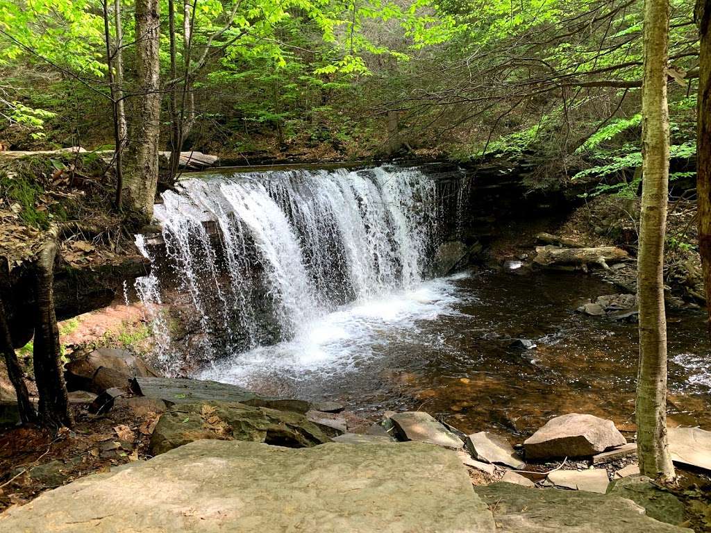 Rt. 118 Trailhead Parking | Rt, Sweet Valley, PA 18656, USA