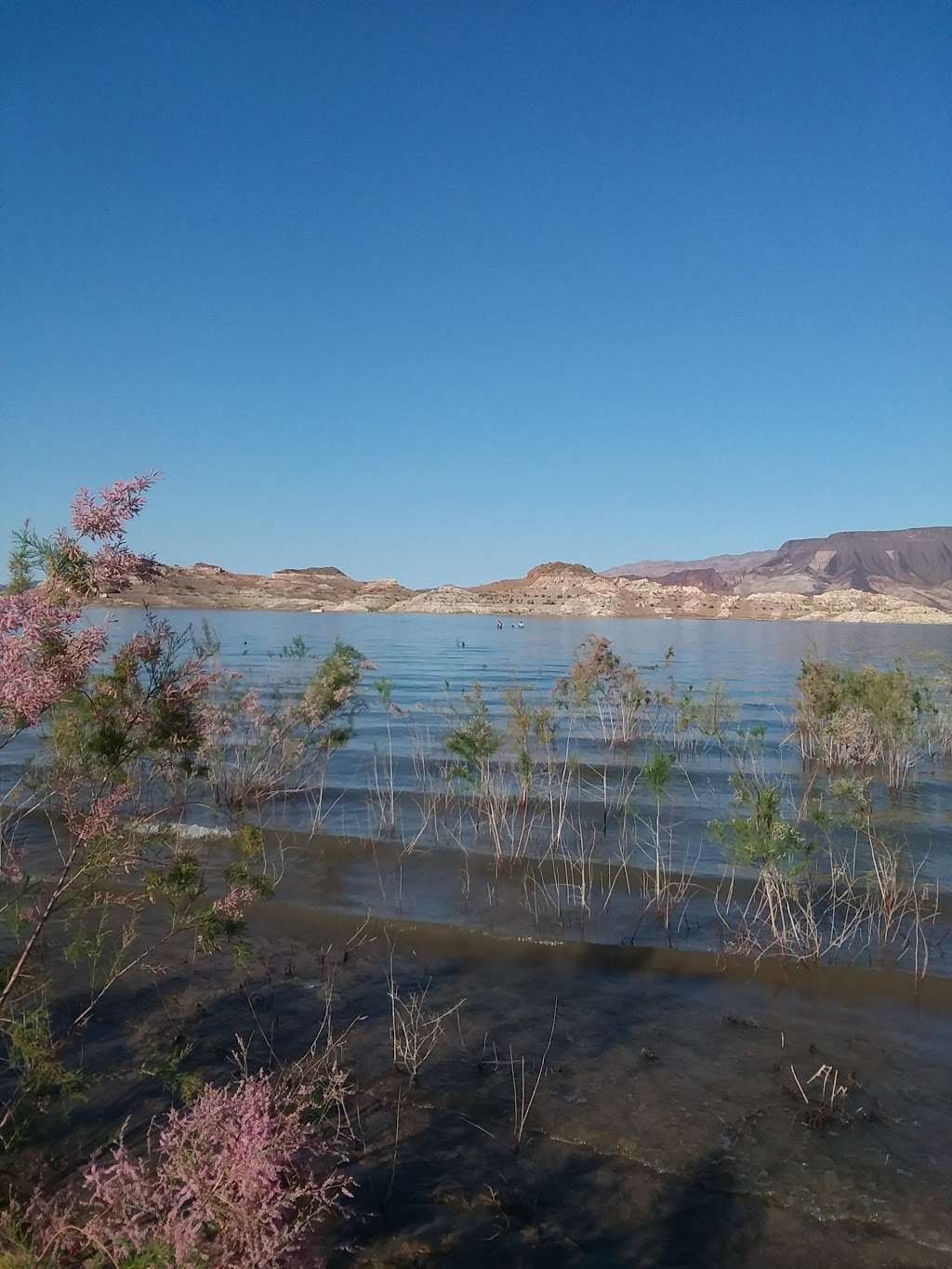 Personal watercraft beach | Lake Mead, Boulder City, NV 89005, USA