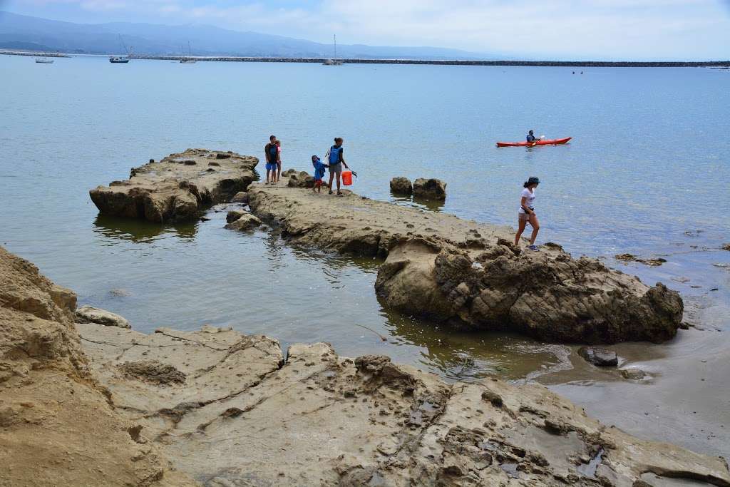 Tide Pools Parking Lot | Half Moon Bay, CA 94019