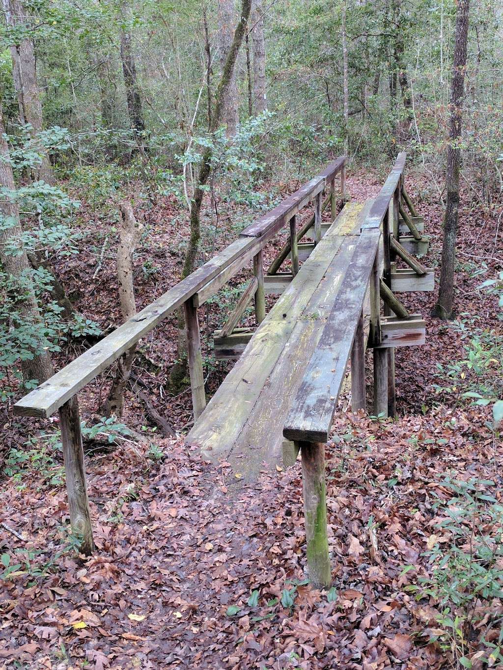 Lone Star Hiking Trail - Trailhead # 11 | San Jacinto County, TX 77358, USA | Phone: (936) 344-6205