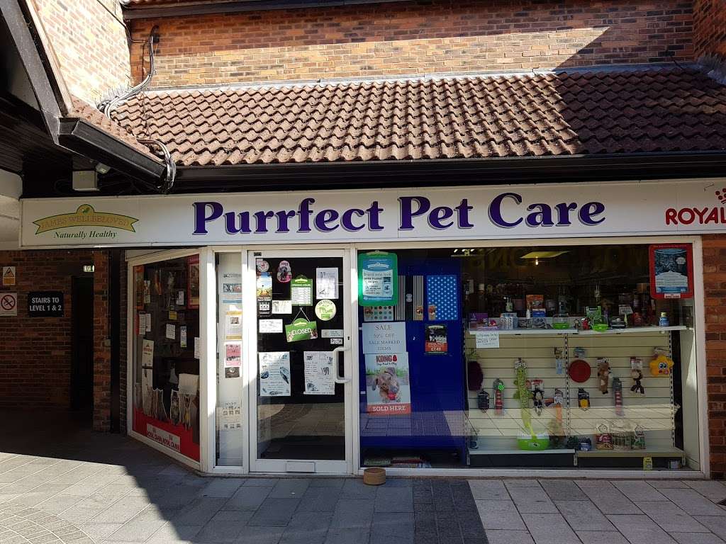 Purrfect Pet Care | 26 Church Walk, Caterham CR3 6RT, UK | Phone: 01883 819753