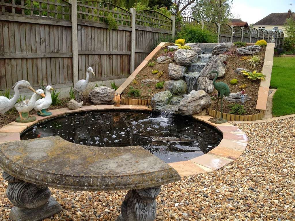 Perrys ponds and Problems | 9 Pond Walk, Upminster RM14 3YH, UK | Phone: 07737 254250