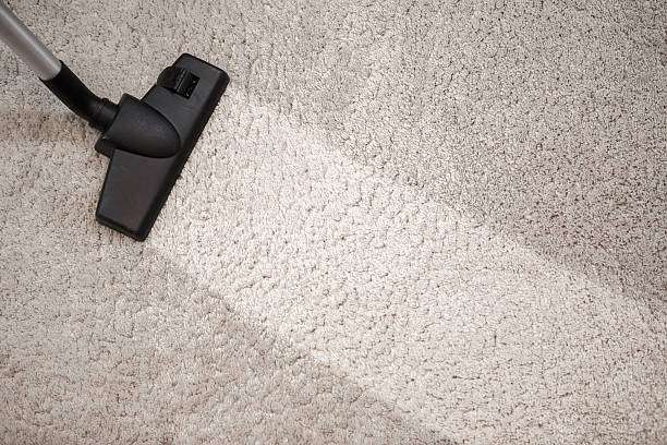 Carpet Cleaner WTN | 10 Alden St, Wallington, NJ 07057, USA | Phone: (201) 474-2293