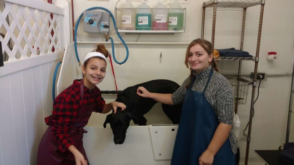 Medway Dog Wash | 161 Main St, Medway, MA 02053 | Phone: (508) 533-2833