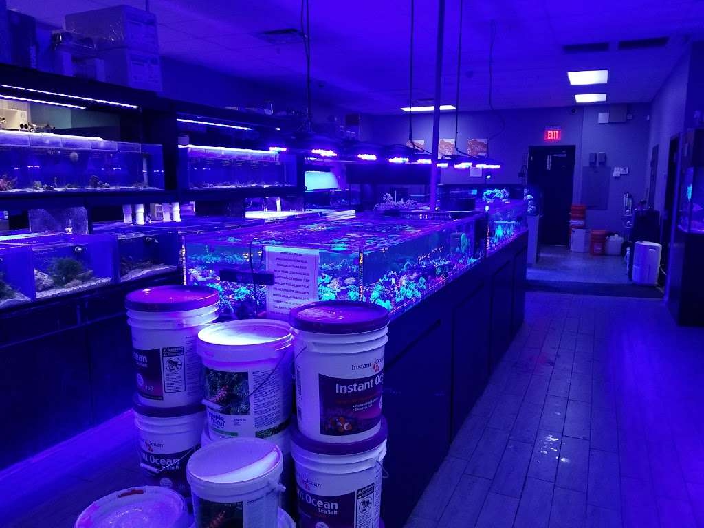 Top Shelf Aquatics | 7250 Aloma Ave #102, Winter Park, FL 32792, USA | Phone: (407) 677-7333