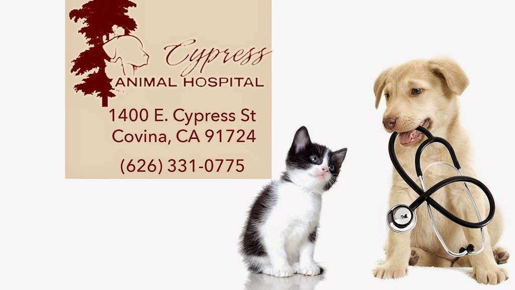 Cypress Animal Hospital | 1400 Cypress St, Covina, CA 91724 | Phone: (626) 331-0775