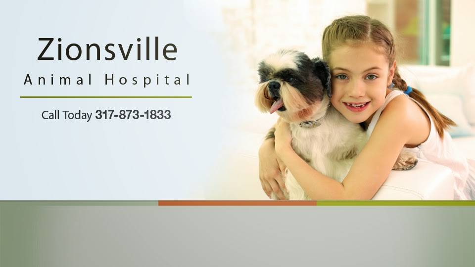 Zionsville Animal Hospital | 1305 Parkway Dr, Zionsville, IN 46077, USA | Phone: (317) 873-1833