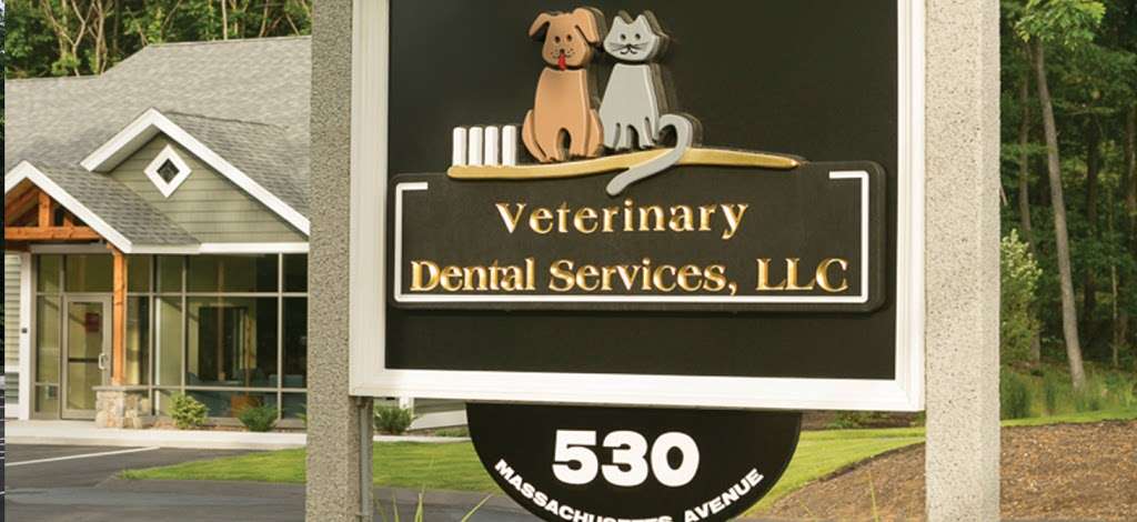 Veterinary Dental Services, LLC | 530 Massachusetts Ave, Boxborough, MA 01719, USA | Phone: (978) 929-9200