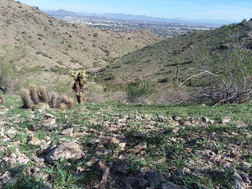 Javelina Canyon Trailhead | Javelina Trail, Phoenix, AZ 85042, USA