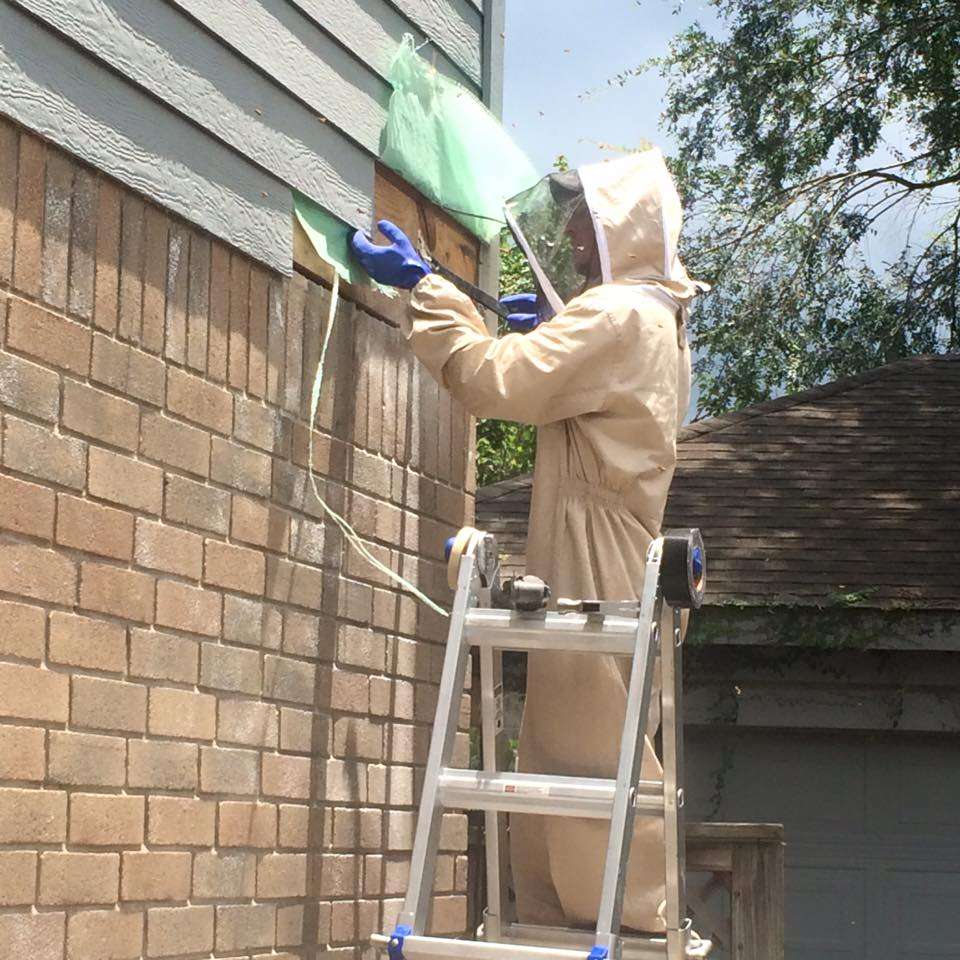 Bee Smart Pest Solutions | 9963 Mango, # A, Houston, TX 77075 | Phone: (877) 257-2337