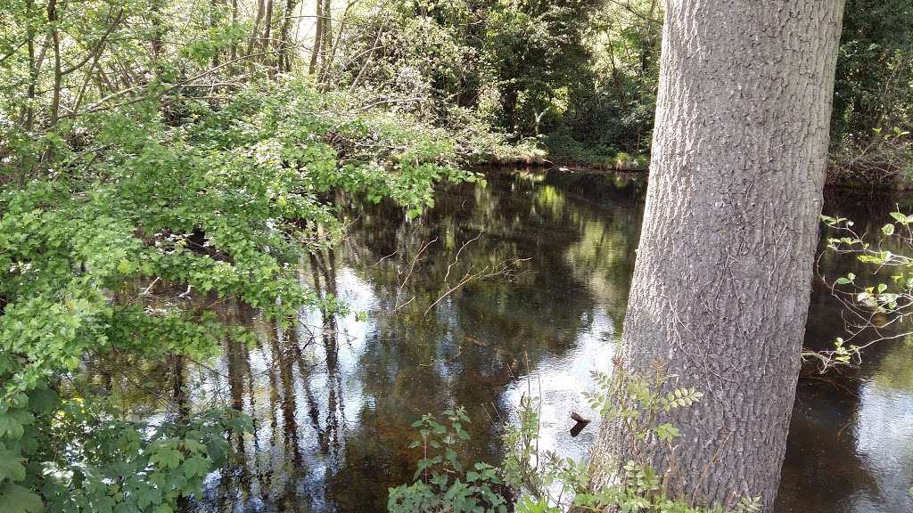 Hawkwood Estate | Chislehurst, UK