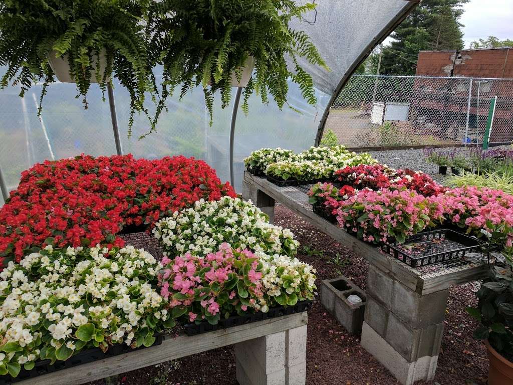 Skiros Garden Center | 315 Main Rd, Hanover Twp, PA 18706 | Phone: (570) 826-1170