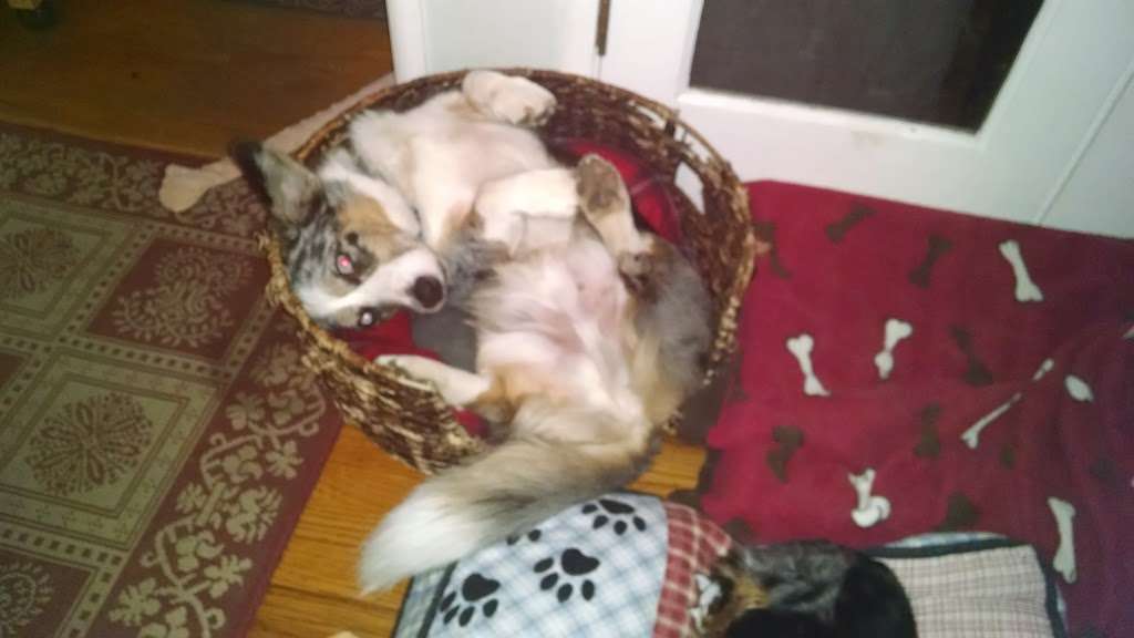 Otto Man Art Co | 108 Emerson Ct, Pleasant Hill, CA 94523, USA | Phone: (925) 934-5890