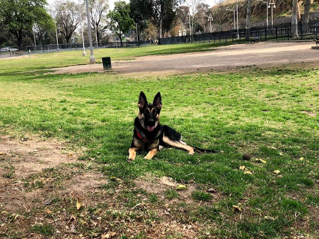 Carlson Bark Park | Mission Inn Avenue & Scout Ln, Riverside, CA 92501, USA | Phone: (951) 826-2000