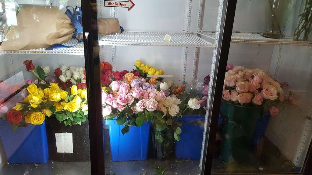 Biagios Florist | 2135 Amwell Rd, Somerset, NJ 08873, USA | Phone: (732) 246-1850