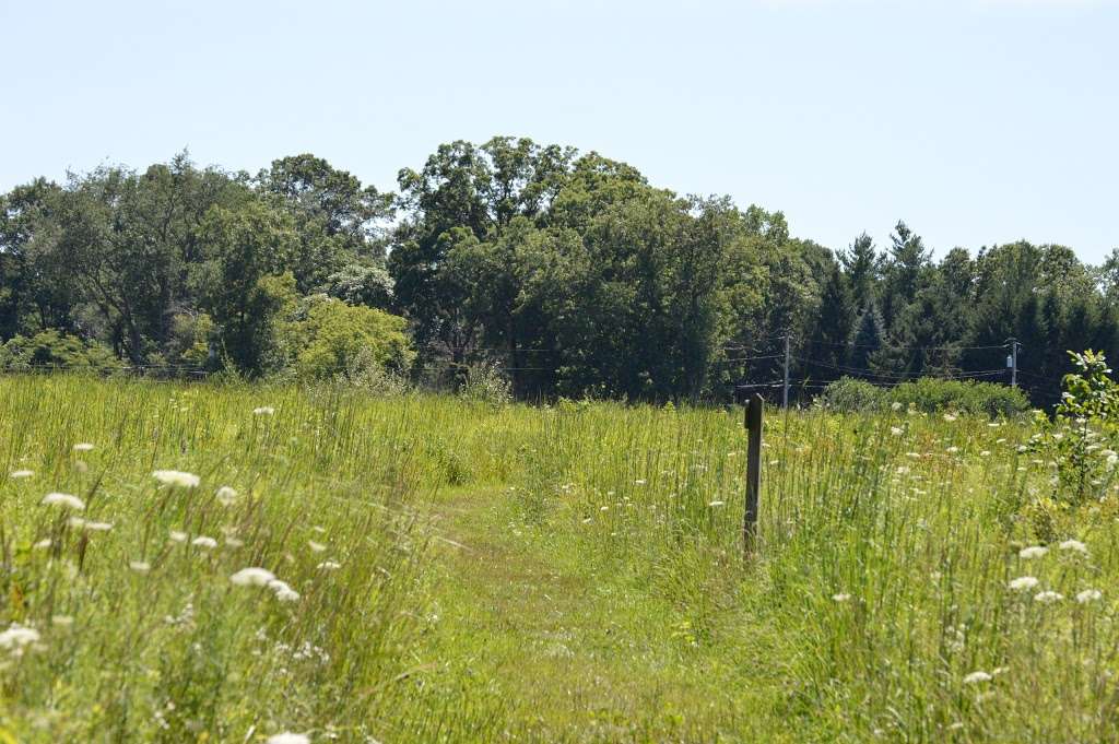 Mnoke Prairie | Porter, IN 46304, USA